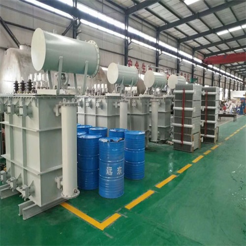 新余S22油浸式电力变压器